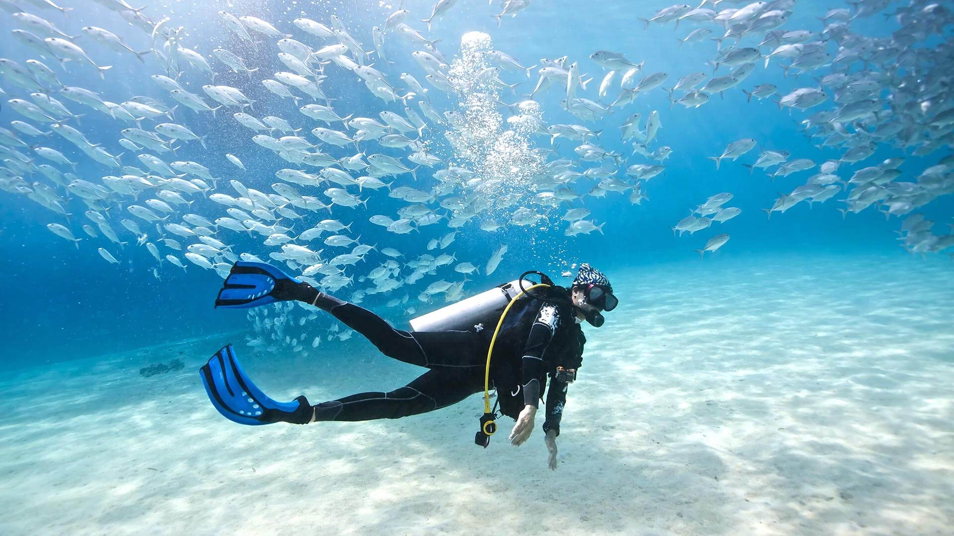 10 top Scuba Diving Spots in South East Asia | PickYourTrail